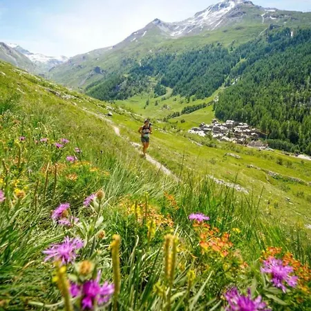 Apartment Le Pied Du Brevent - Walk To Lift, Getaway