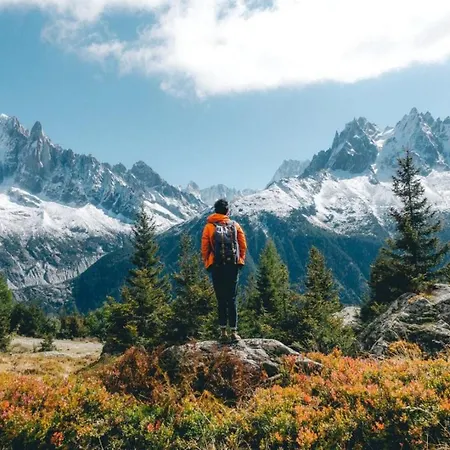 Daire Le Pied Du Brevent - Walk To Lift, Getaway Chamonix
